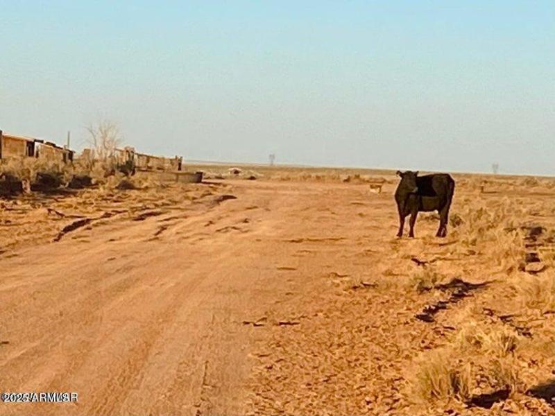 20251104022541600451000000-o