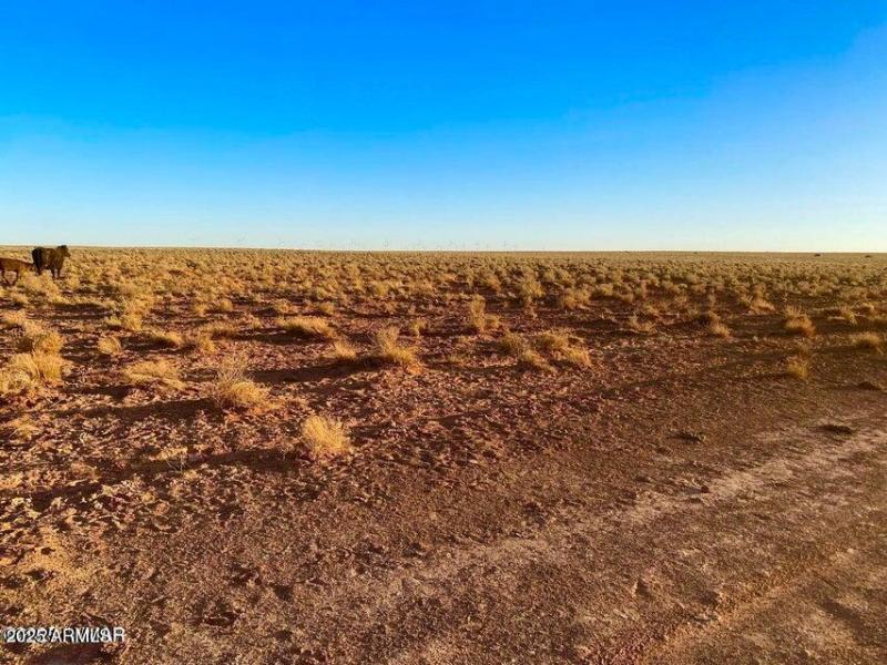 20251104022707516617000000-o