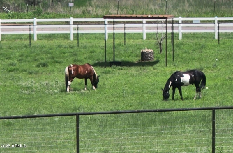 8314169994515834594 (2)