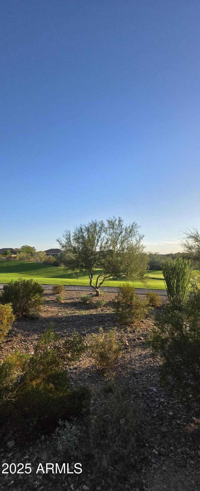 Golf Course View - No Fence 1