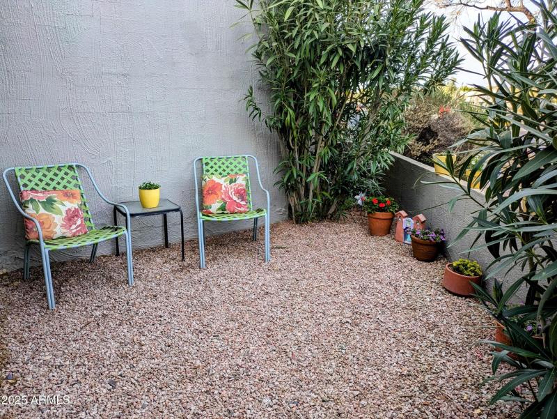 PXL_20250301_001331998~2_Original