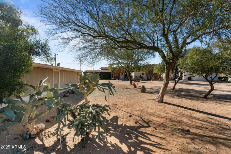 46-web-or-mls-DSC06297