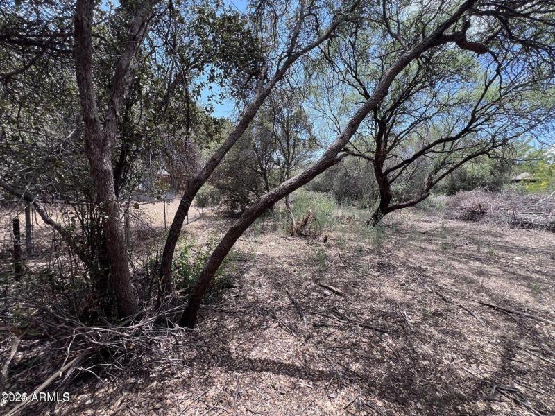 20240731013209130966000000-o (1)