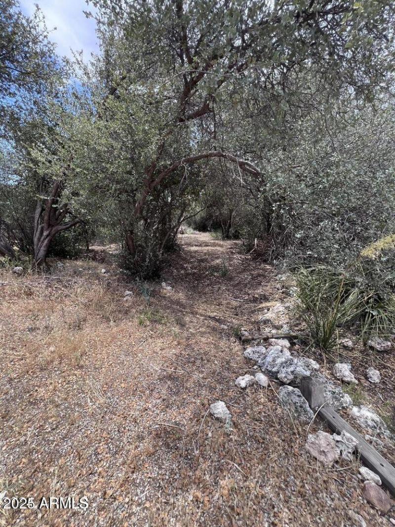 20241009182844944323000000-o