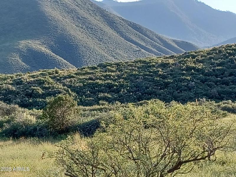 VIEWS OF THE BRADSHAW MOUNTAIN RANGE