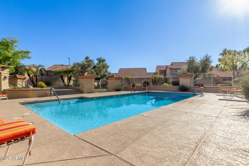 37 Pepper Tree