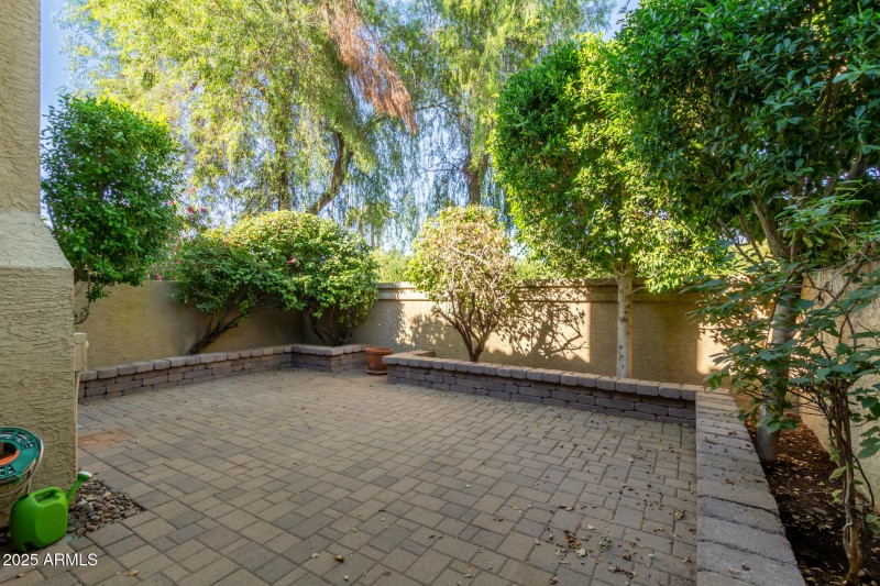 31 Pepper Tree
