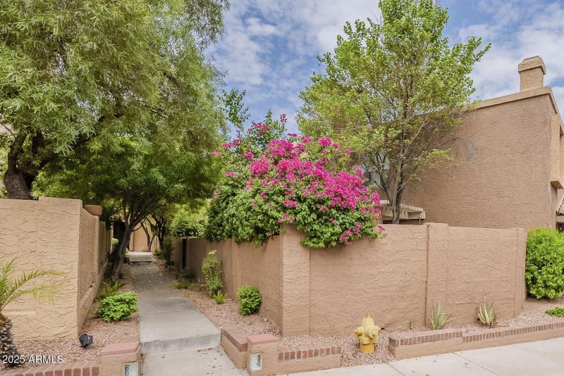 Guest pathway to front door