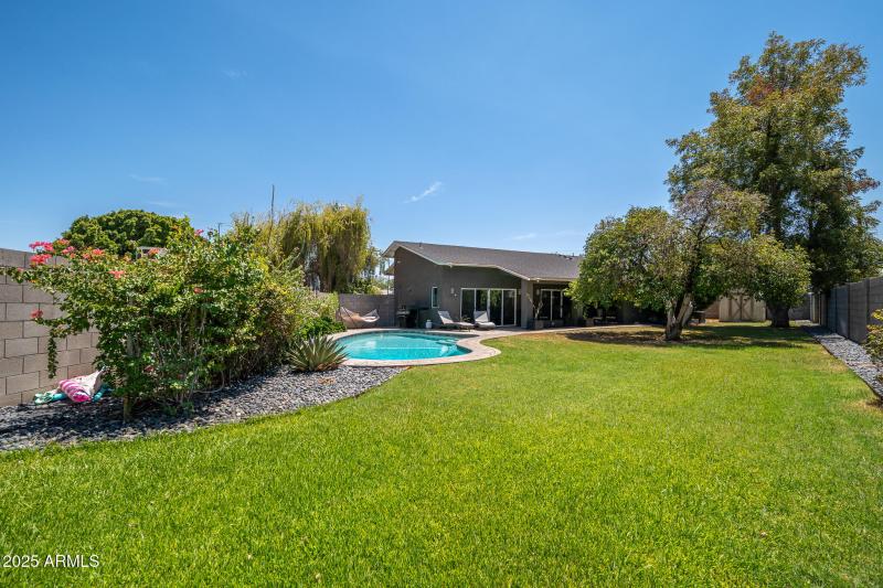 Backyard - Expansive yard for dogs, kids