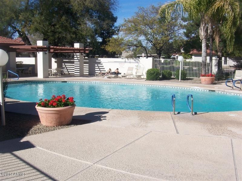 Belleview - pool (Medium)