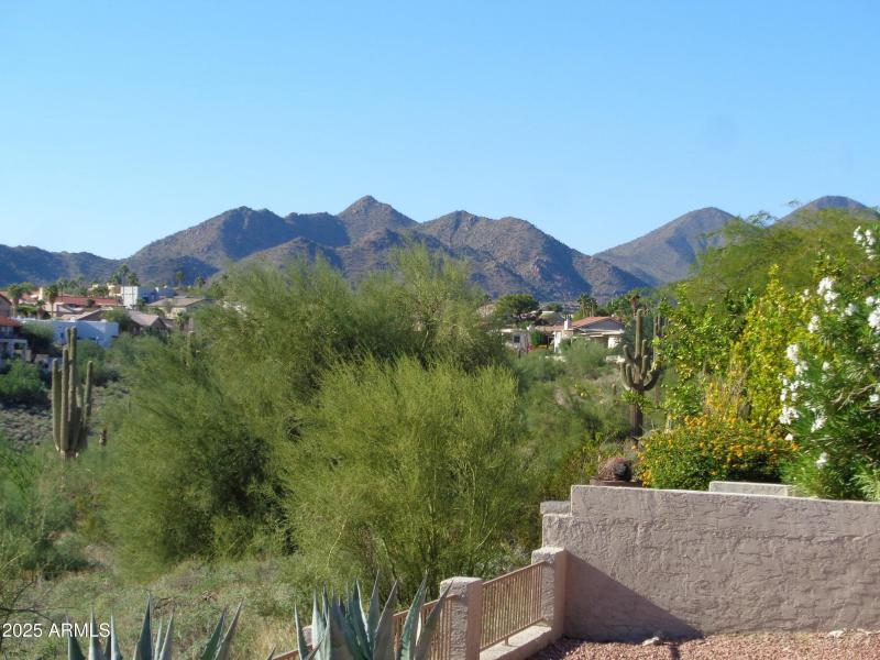 View of McDowell Mountains