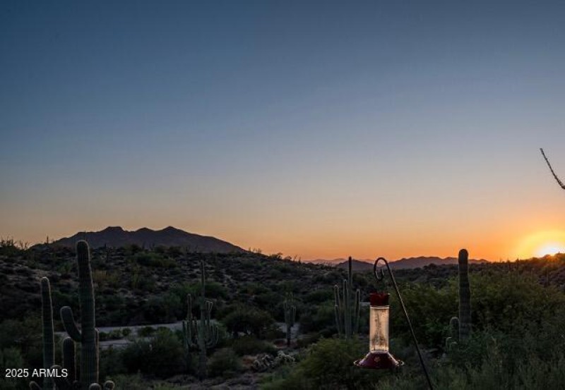 39601 N Ocotillo Rd Carefree-65