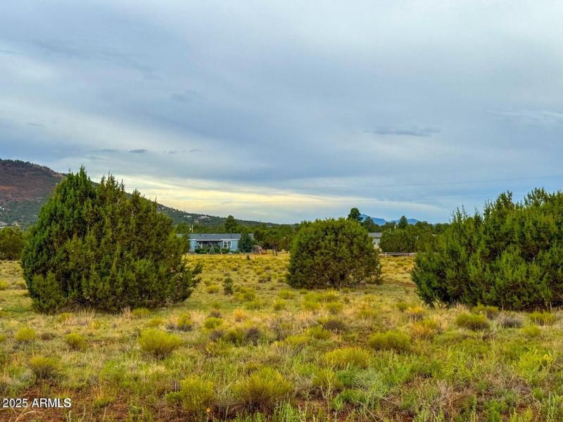 20251107000105842629000000-o