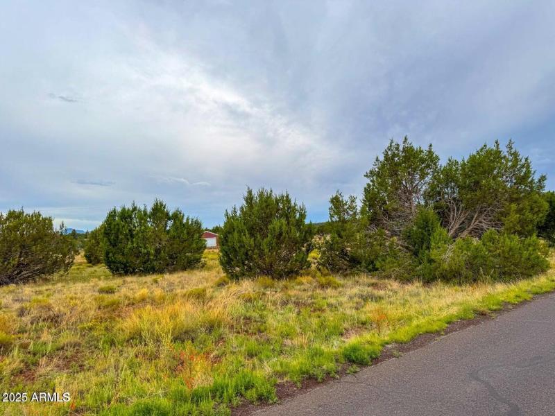 20251107000109630811000000-o