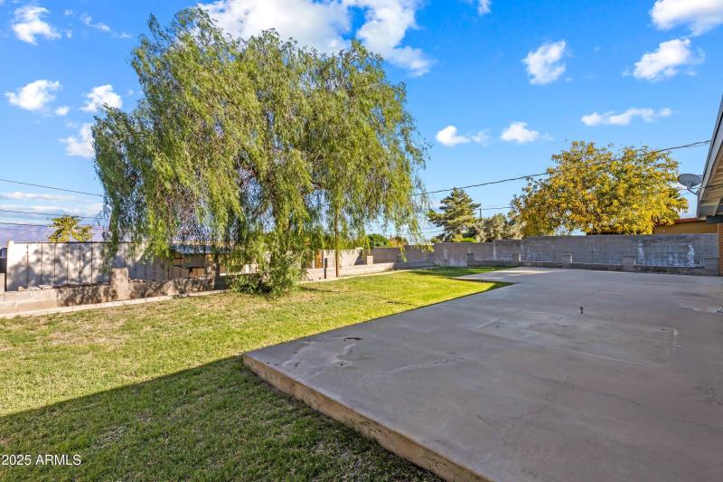 39-Back Patio & Yard