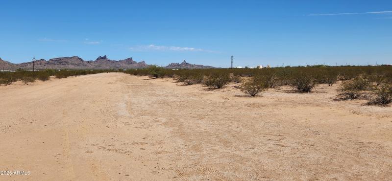 On Lyra St Looking North