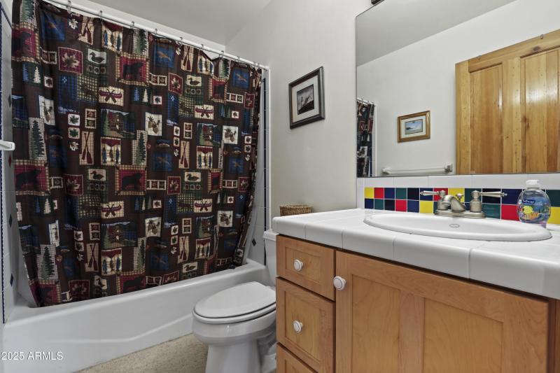 Downstairs Guest Bath