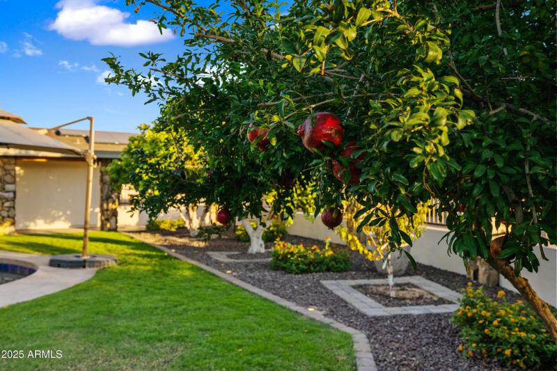 103-15220N27S-ocupix-