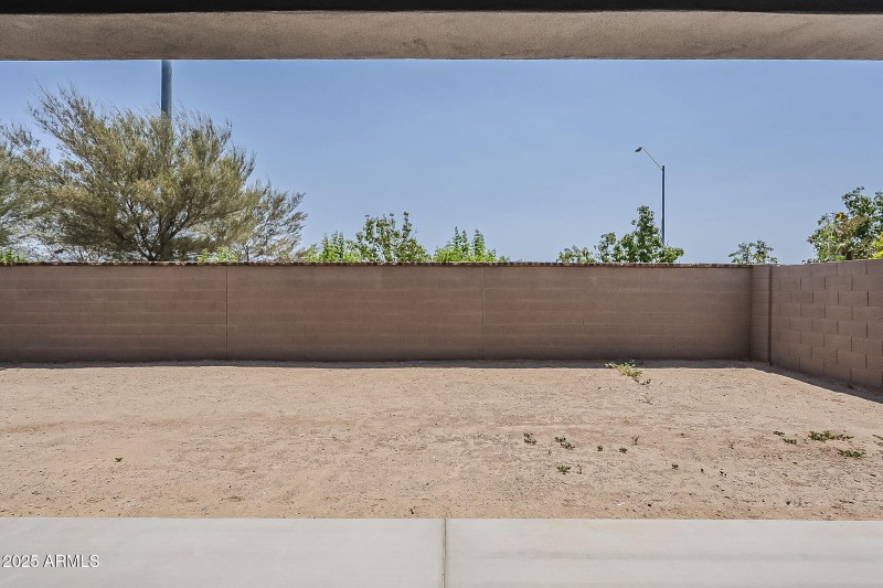 Blank Canvas Backyard