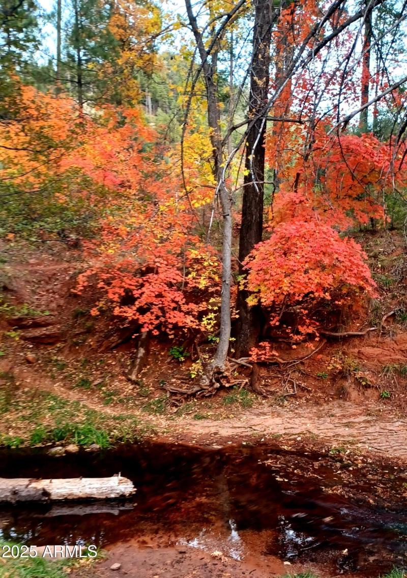 Enjoy the seasons by the river