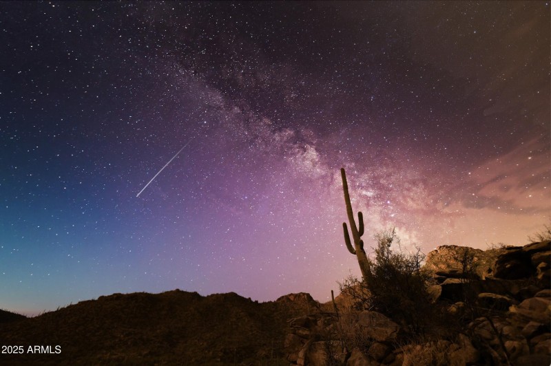 Luxury Meets Serenity