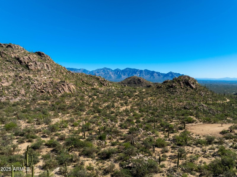 Build your dream home