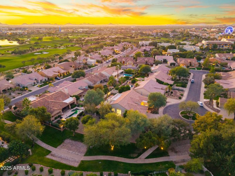 JUST 7 HOMES ON THE STREET