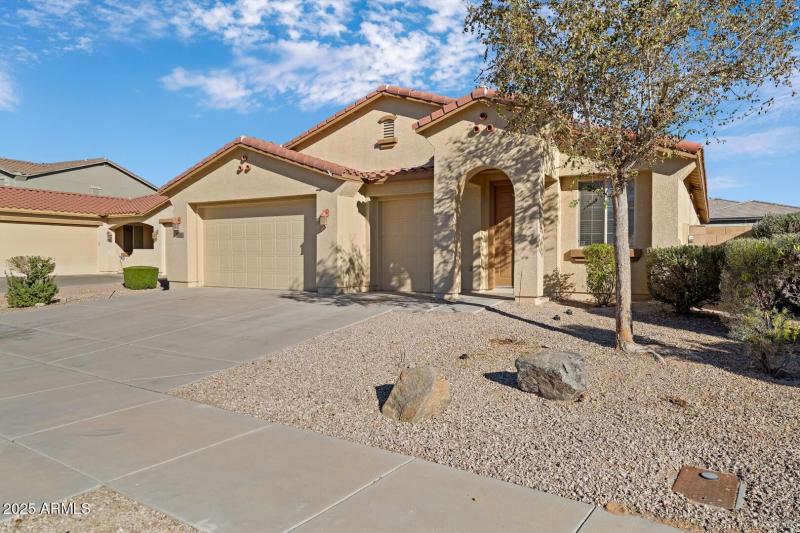 1 Front Yard-3 (Large)