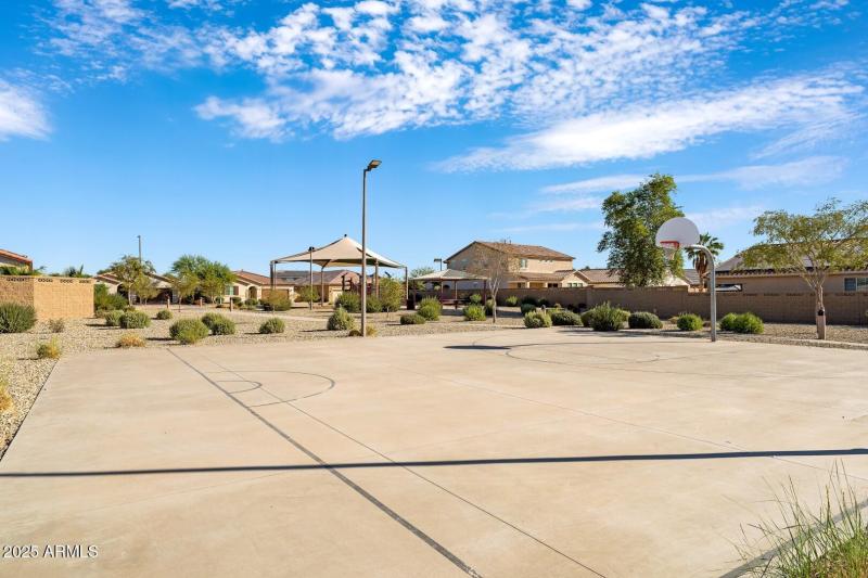 3 Backyard-6 (Large)