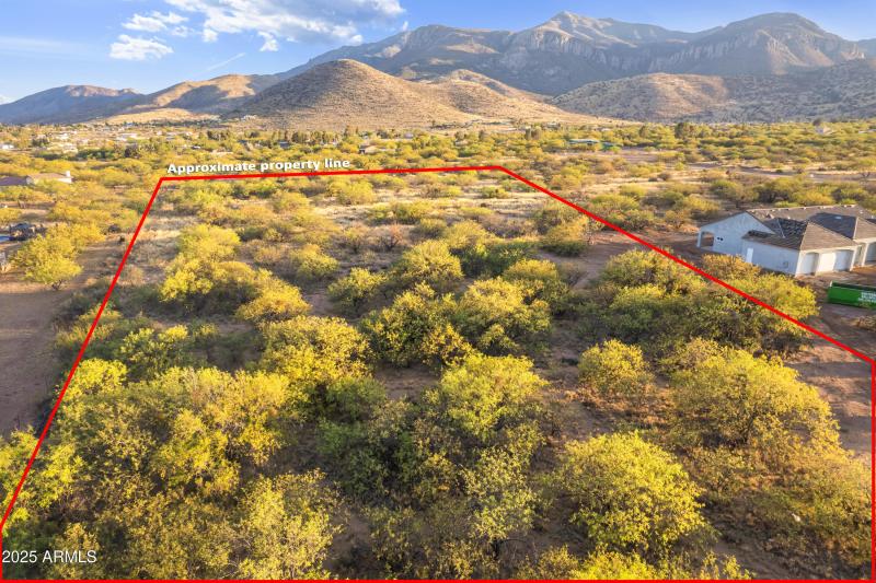 Photo May 08 2025, 6 28 42 PMA