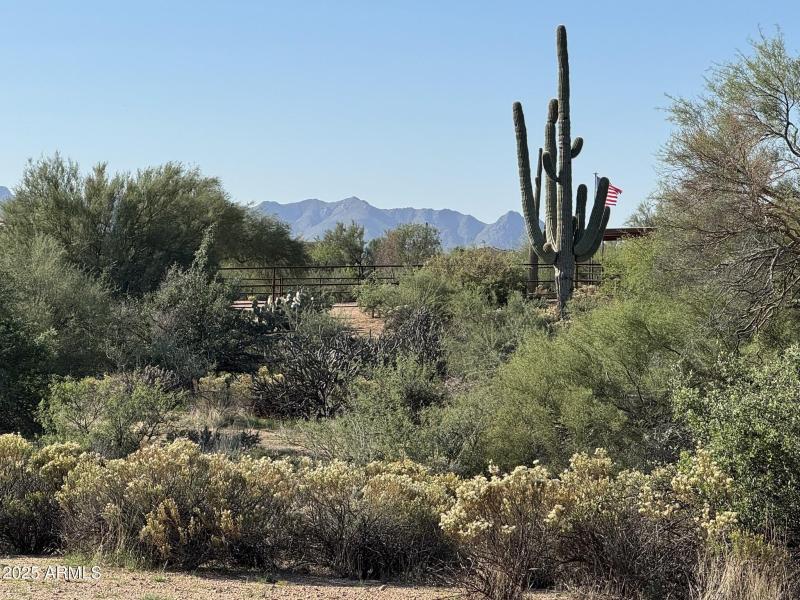 Stunning Mountain Views