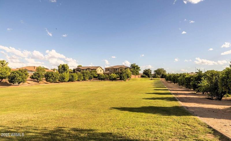 20250913204522538367000000-o