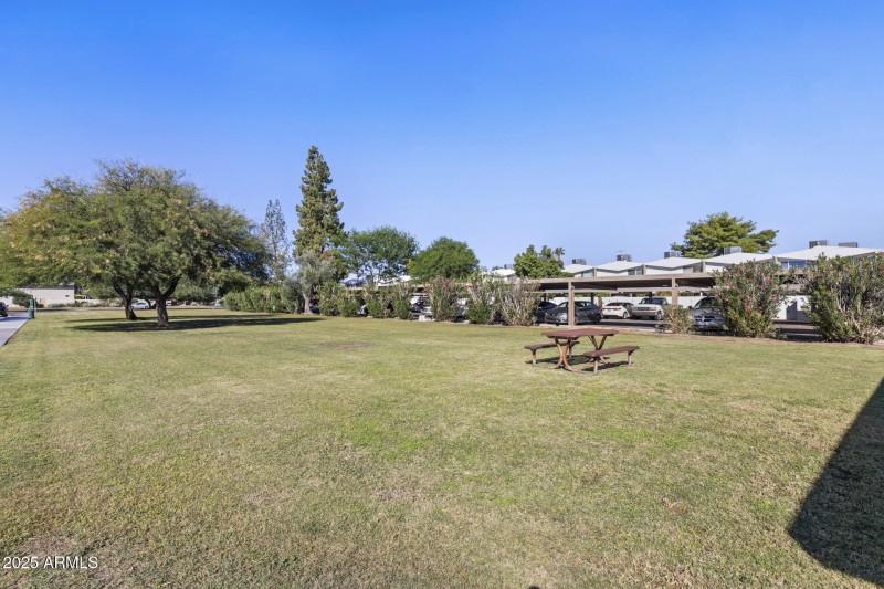 Community Grass Area