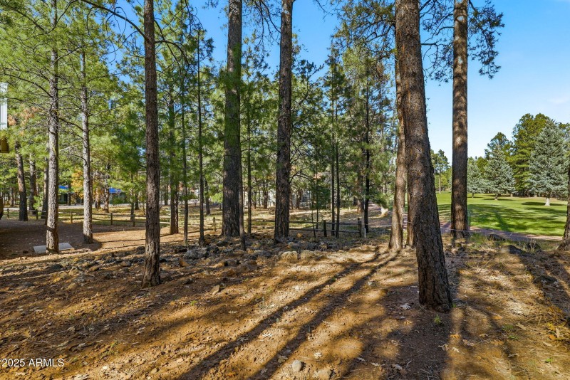 3417RoaringForkDr-Pinetop-AZ-47