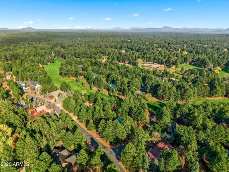 3417RoaringForkDr-Pinetop-AZ-51