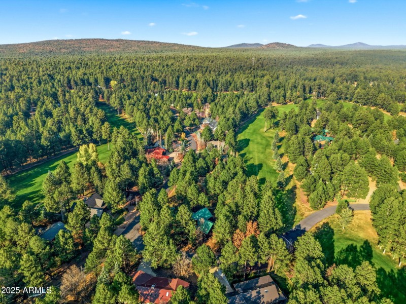 3417RoaringForkDr-Pinetop-AZ-52