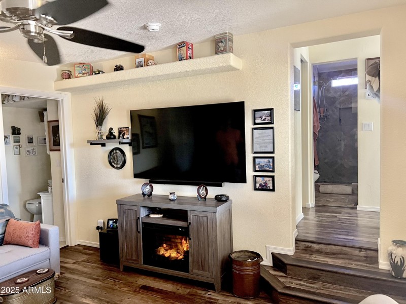 TV and Fireplace Convey