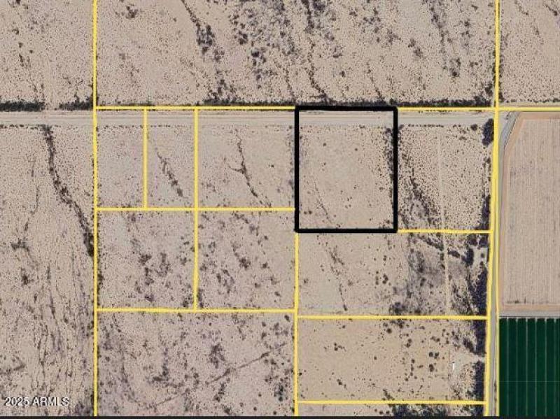 high contrast lines-1