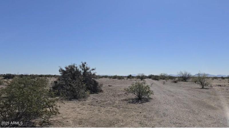 Screenshot_20251110_200332_Gallery