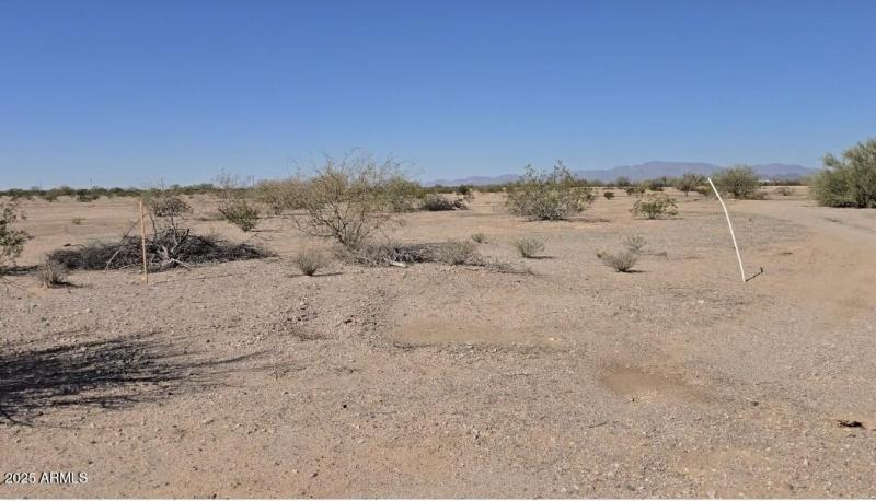 Screenshot_20251110_200419_Gallery