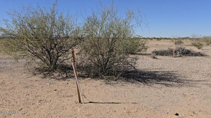 Screenshot_20251110_200514_Gallery