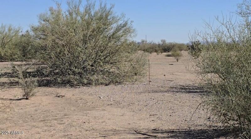 Screenshot_20251110_200526_Gallery