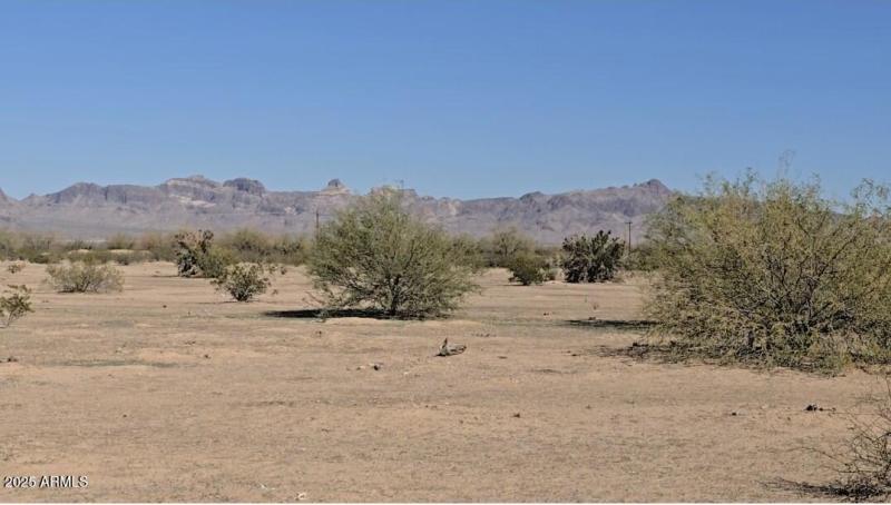 Screenshot_20251110_200537_Gallery