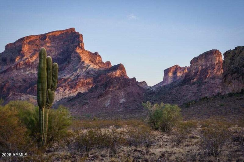 20250109204811115166000000-o