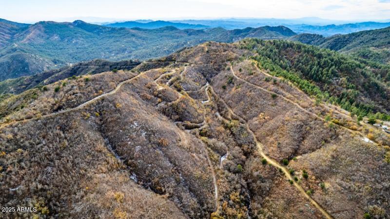 20250405074200768937000000-o (1)