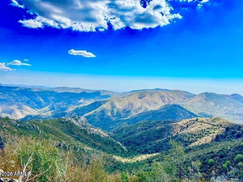 20250405074838411596000000-o (1)