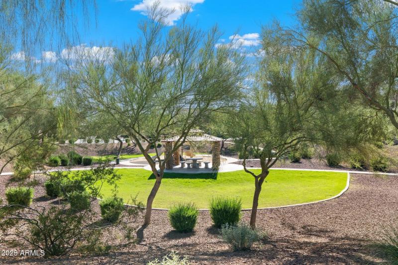 Live the Arizona Dream!