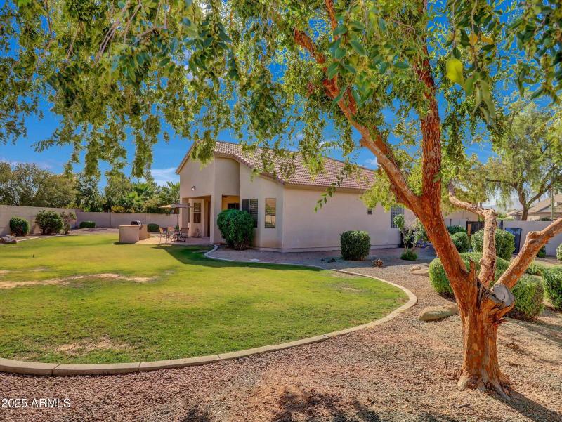 Largest Lot available!