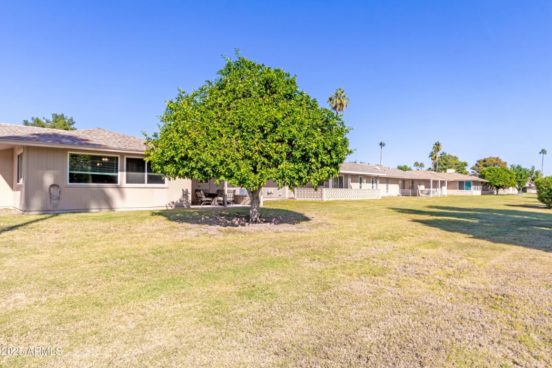 Long_Hills_Backyard_Area