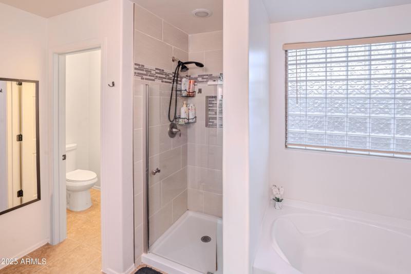 Master Bathroom Shower & Bathtub